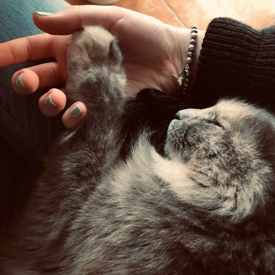 Instagram - @aurora_harlaccah