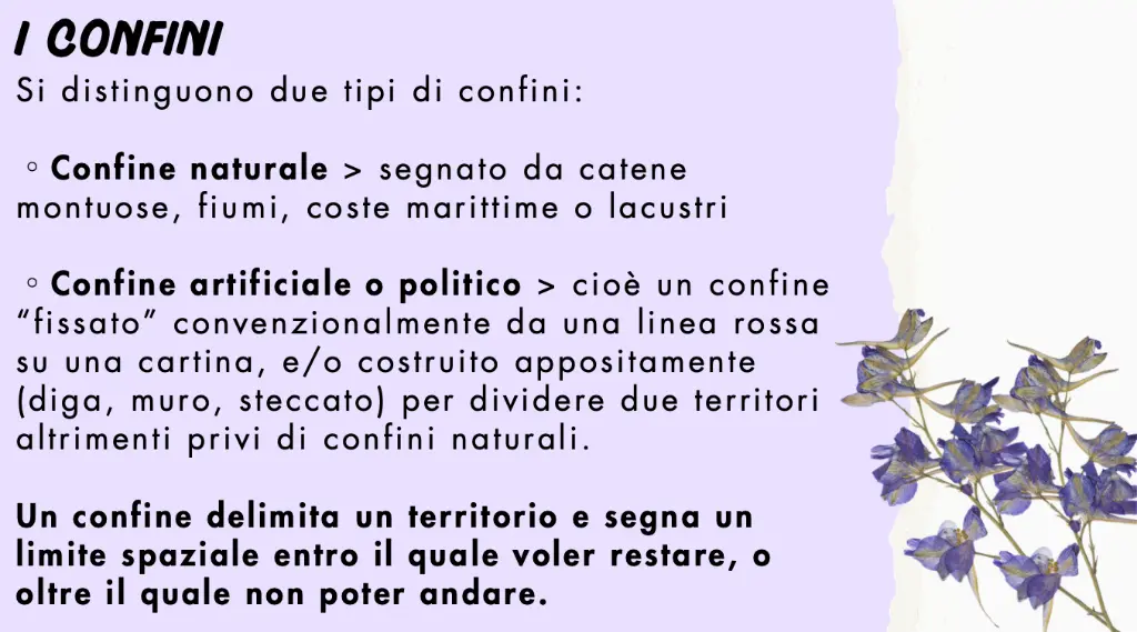 Schermata 2025-07-10 alle 23.27.44.webp