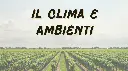 Schermata 2025-07-10 alle 23.25.07.webp