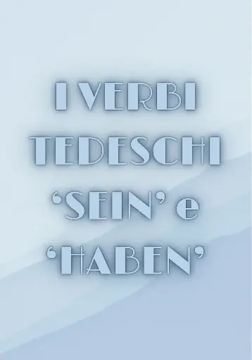 Verbs 'sein' and 'haben' (present and präteritum)